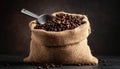 A sack of roasted coffee beans in a metal scoop studio. Royalty Free Stock Photo