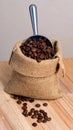 A sack of roasted coffee beans in a metal scoop studio. Royalty Free Stock Photo