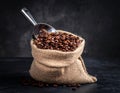 A sack of roasted coffee beans in a metal scoop studio. Royalty Free Stock Photo
