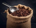 A sack of roasted coffee beans in a metal scoop studio. Royalty Free Stock Photo