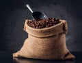 A sack of roasted coffee beans in a metal scoop studio. Royalty Free Stock Photo
