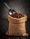 A sack of roasted coffee beans in a metal scoop studio. Royalty Free Stock Photo