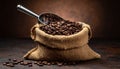 A sack of roasted coffee beans in a metal scoop studio. Royalty Free Stock Photo