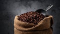 A sack of roasted coffee beans in a metal scoop studio. Royalty Free Stock Photo