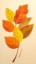Bright and simple autumn leaves in warm colors. Solid cartoon leaves for seasonal des Royalty Free Stock Photo