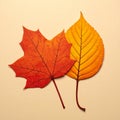 Bright and simple autumn leaves in warm colors. Solid cartoon leaves for seasonal des Royalty Free Stock Photo
