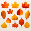 Bright and simple autumn leaves in warm colors. Solid cartoon leaves for seasonal des Royalty Free Stock Photo