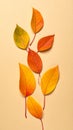 Bright and simple autumn leaves in warm colors. Solid cartoon leaves for seasonal des Royalty Free Stock Photo