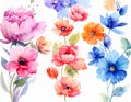 Delicate watercolor flowers are flawless patterns filled with vibrant colors Royalty Free Stock Photo