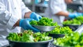 Close-up of salad container assembly in clean food production facility Royalty Free Stock Photo