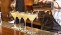 Barman pouring cold martini into glasses on counter, closeup Royalty Free Stock Photo