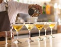 Barman pouring cold martini into glasses on counter, closeup Royalty Free Stock Photo