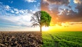 Half dead and alive tree outdoors. Conceptual photo depicting Earth destroyed Royalty Free Stock Photo