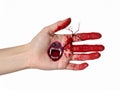 Scary monster on white background, closeup of hand. Halloween character Royalty Free Stock Photo