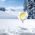 Cool Winter Bar Scene with Ice and Crystal Glass Royalty Free Stock Photo
