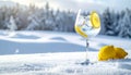 Cool Winter Bar Scene with Ice and Crystal Glass Royalty Free Stock Photo