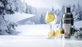 Cool Winter Bar Scene with Ice and Crystal Glass Royalty Free Stock Photo