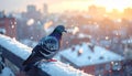 Urban Winter Scene with Pigeon and Falling Snow Royalty Free Stock Photo