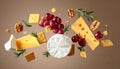 Different types of cheese, crackers, grapes, rosemary and walnuts in air on dark beig Royalty Free Stock Photo