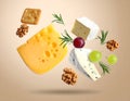 Different types of cheese, crackers, grapes, rosemary and walnuts in air on dark beig Royalty Free Stock Photo