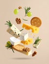 Different types of cheese, crackers, grapes, rosemary and walnuts in air on dark beig Royalty Free Stock Photo