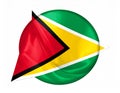 Flag of Guyana Royalty Free Stock Photo