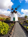 Windmill in the botanic garden of captus of Lanzarote, Canary Islands, Spain Royalty Free Stock Photo