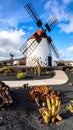 Windmill in the botanic garden of captus of Lanzarote, Canary Islands, Spain Royalty Free Stock Photo