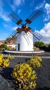 Windmill in the botanic garden of captus of Lanzarote, Canary Islands, Spain Royalty Free Stock Photo