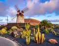 Windmill in the botanic garden of captus of Lanzarote, Canary Islands, Spain Royalty Free Stock Photo
