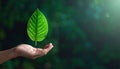 Vector sign environment friendly, hand and leaf. creative concept. Royalty Free Stock Photo