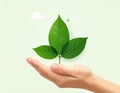 Vector sign environment friendly, hand and leaf. creative concept. Royalty Free Stock Photo
