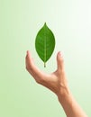 Vector sign environment friendly, hand and leaf. creative concept. Royalty Free Stock Photo