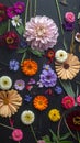 Flowery Pattern Sample Royalty Free Stock Photo