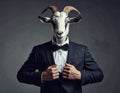 The Goat Who Wears A Suit Royalty Free Stock Photo