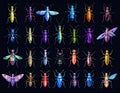 Bright insect icons, vector set. Abstract triangular style. mantis, grasshopper Royalty Free Stock Photo