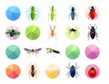 Bright insect icons, vector set. Abstract triangular style. mantis, grasshopper Royalty Free Stock Photo