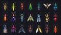 Bright insect icons, vector set. Abstract triangular style. mantis, grasshopper Royalty Free Stock Photo