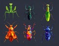 Bright insect icons, vector set. Abstract triangular style. mantis, grasshopper Royalty Free Stock Photo