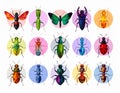 Bright insect icons, vector set. Abstract triangular style. mantis, grasshopper Royalty Free Stock Photo