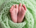 baby legs on green wool blanket Royalty Free Stock Photo