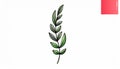 Vector illustration with sprig. Isolated icon, design element for invitation and green Royalty Free Stock Photo