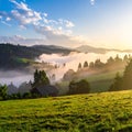 The beautiful view of the houses and trees covered in morning mist. Royalty Free Stock Photo
