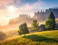 The beautiful view of the houses and trees covered in morning mist. Royalty Free Stock Photo