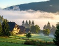 The beautiful view of the houses and trees covered in morning mist. Royalty Free Stock Photo