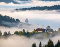 The beautiful view of the houses and trees covered in morning mist. Royalty Free Stock Photo