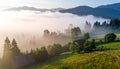 The beautiful view of the houses and trees covered in morning mist. Royalty Free Stock Photo