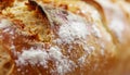 Close-up Macro Shot of Rustic Bread Crust with Flour Dust Royalty Free Stock Photo