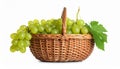 Wicker basket with fresh green grapes on white background Royalty Free Stock Photo
