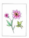 Flower illustration. Birthday card. Doodle style. Design, print, logo, decor, textile Royalty Free Stock Photo